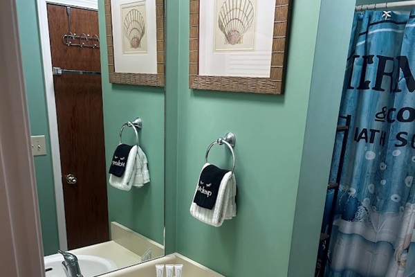 Main Bathroom Sink