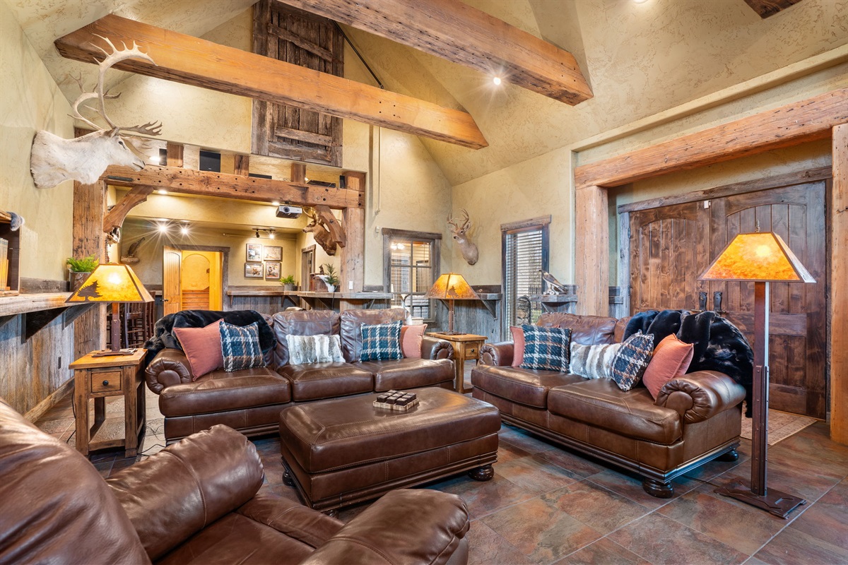 Lower level living room #2