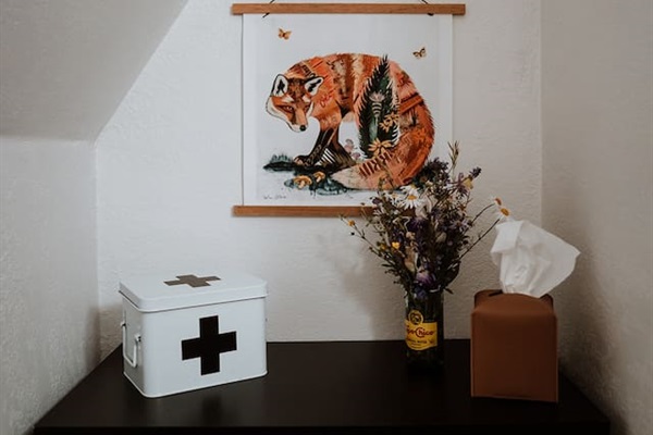 Extras like towels and toilet paper and a first aid kit. 