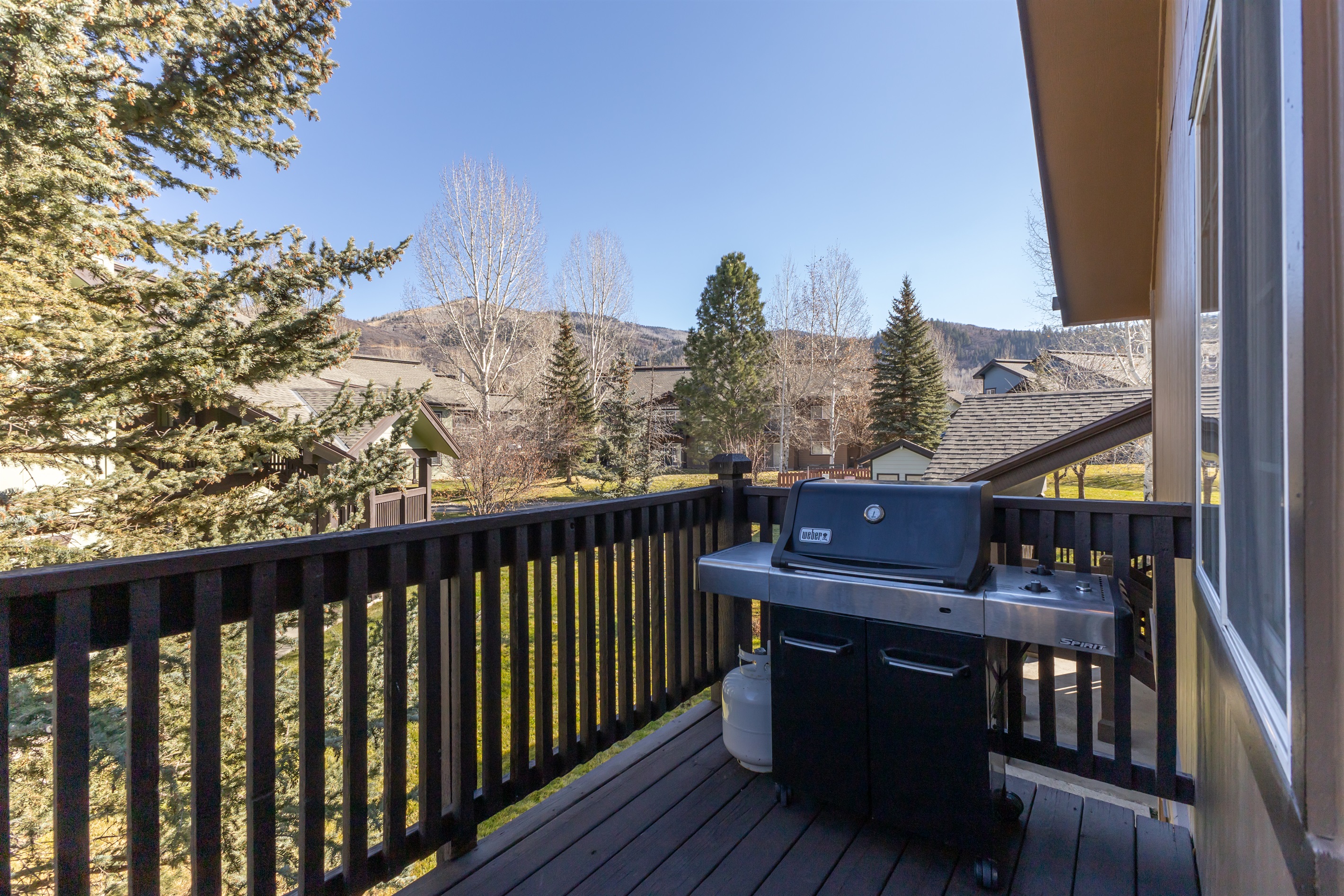 Private Deck with View | Grill