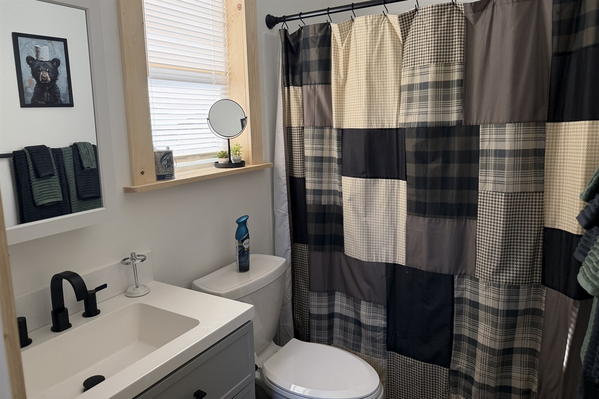 Bathroom includes a sink, toilet, and shower/tub combo.