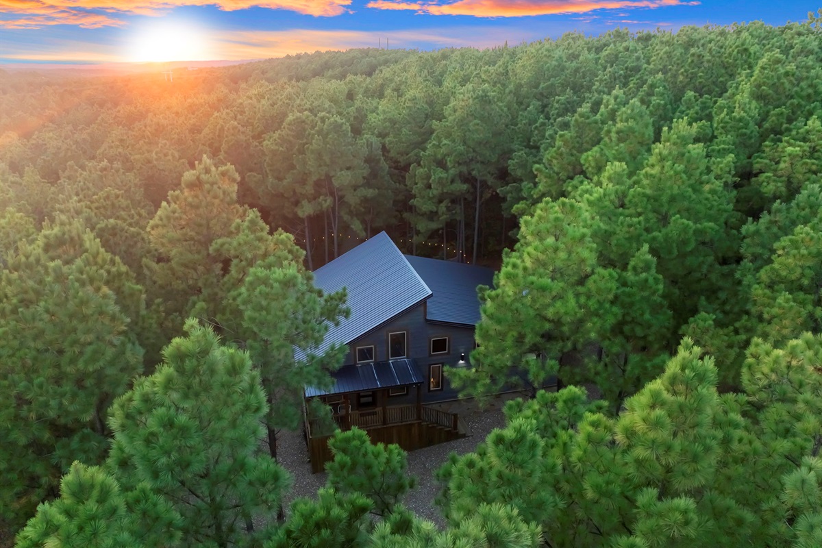 ☀️ Where luxury meets the treetops