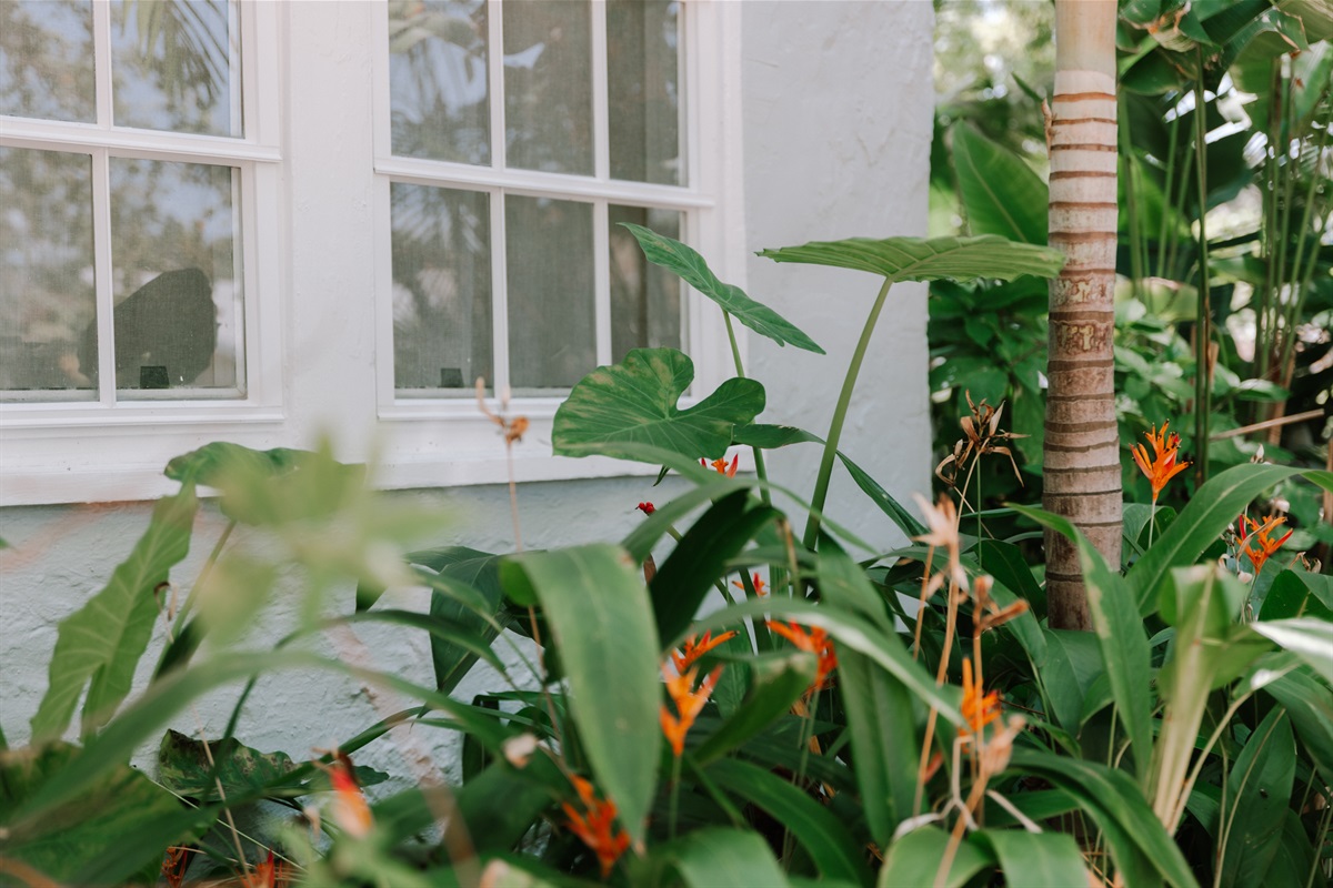 Welcome to The Grove House! Wherever you choose to relax here, serenity awaits.