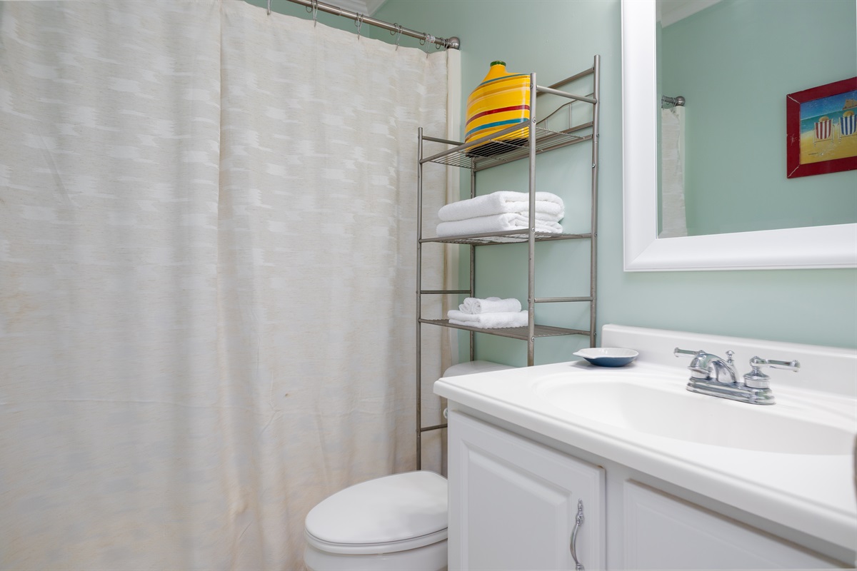 Hallway bathroom features a combination of tub/shower