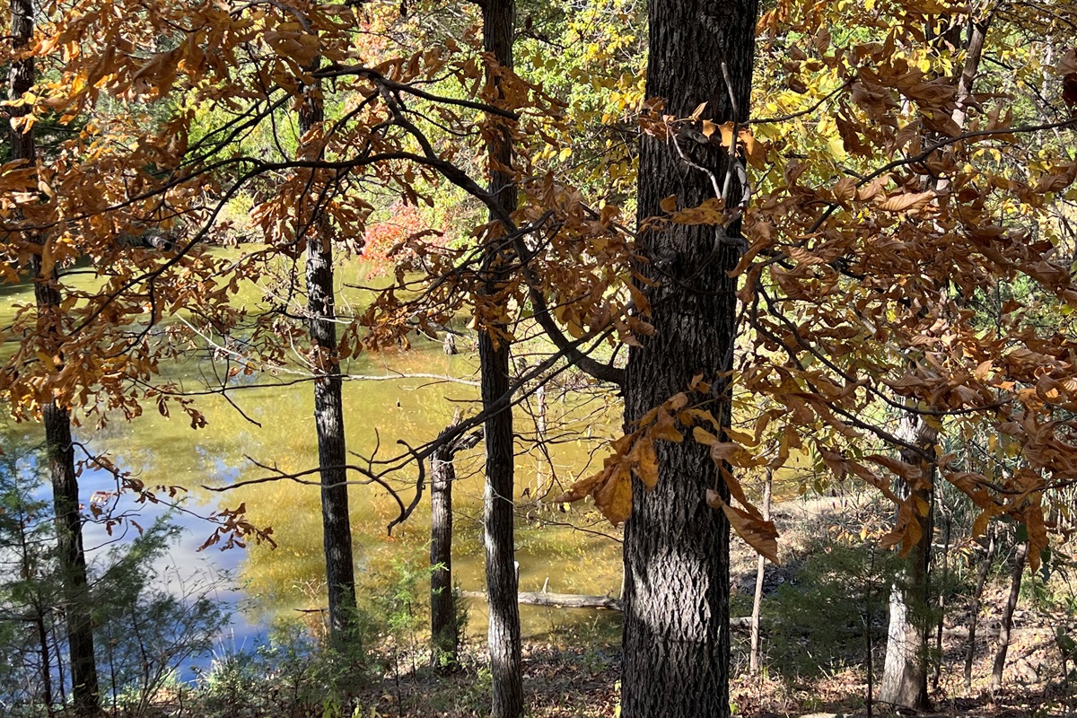 Enjoy peaceful views of the pond and surrounding greenery; please do not use the dock.
