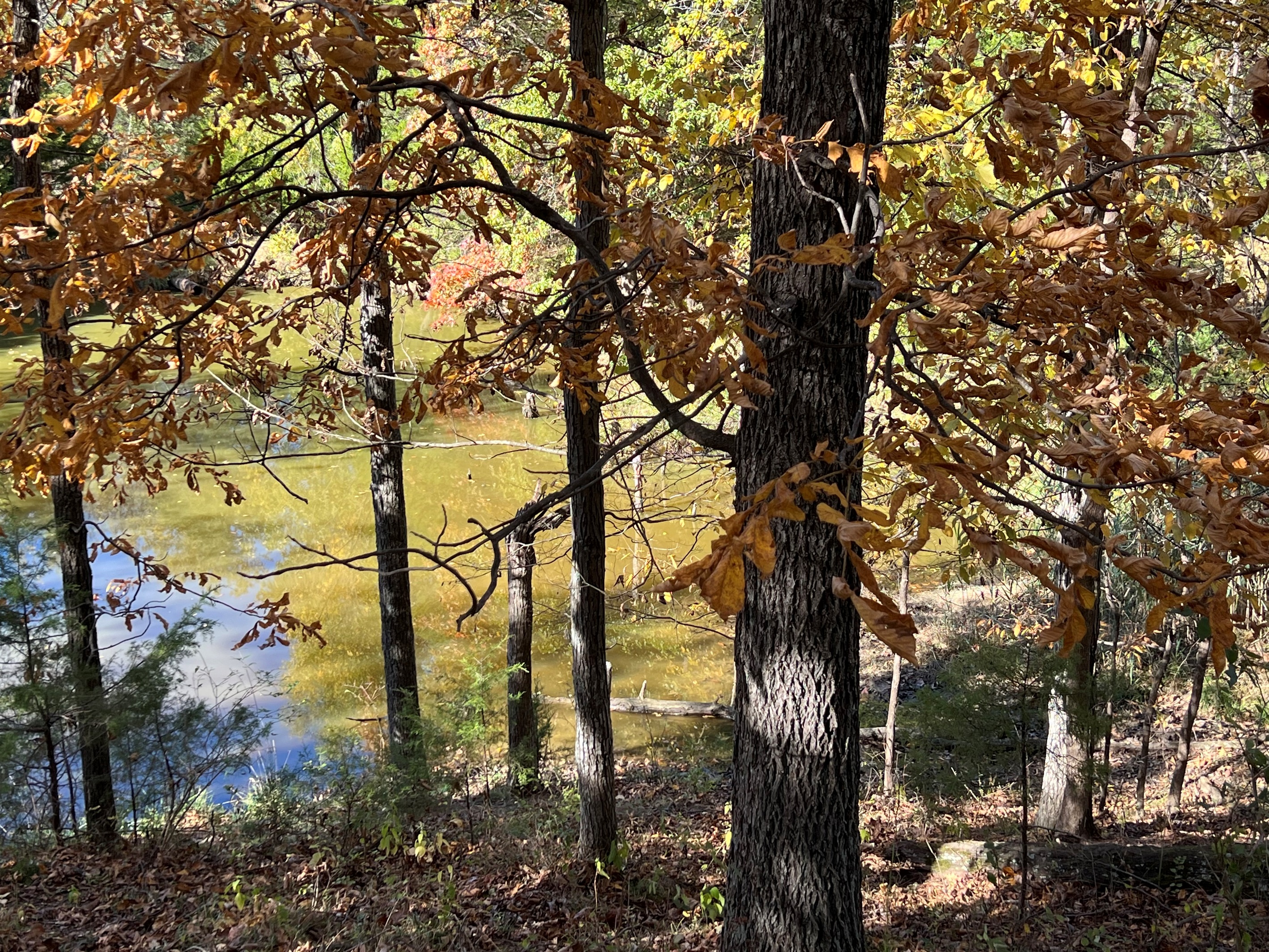 Enjoy peaceful views of the pond and surrounding greenery; please do not use the dock.