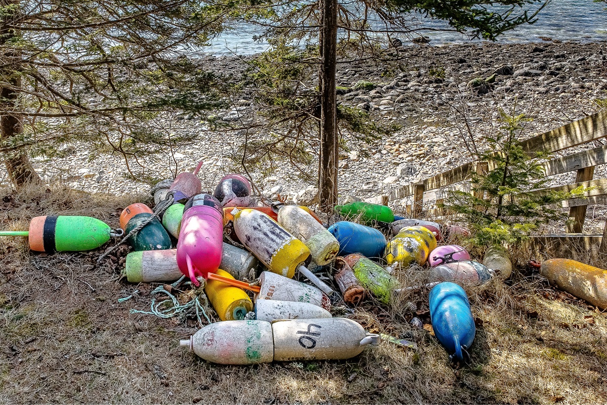"A Working Harbor Legacy."
A colorful collection of 'rescued' buoys found along our private shoreline—a small tribute to the generations of lobstermen who have called Bass Harbor home.