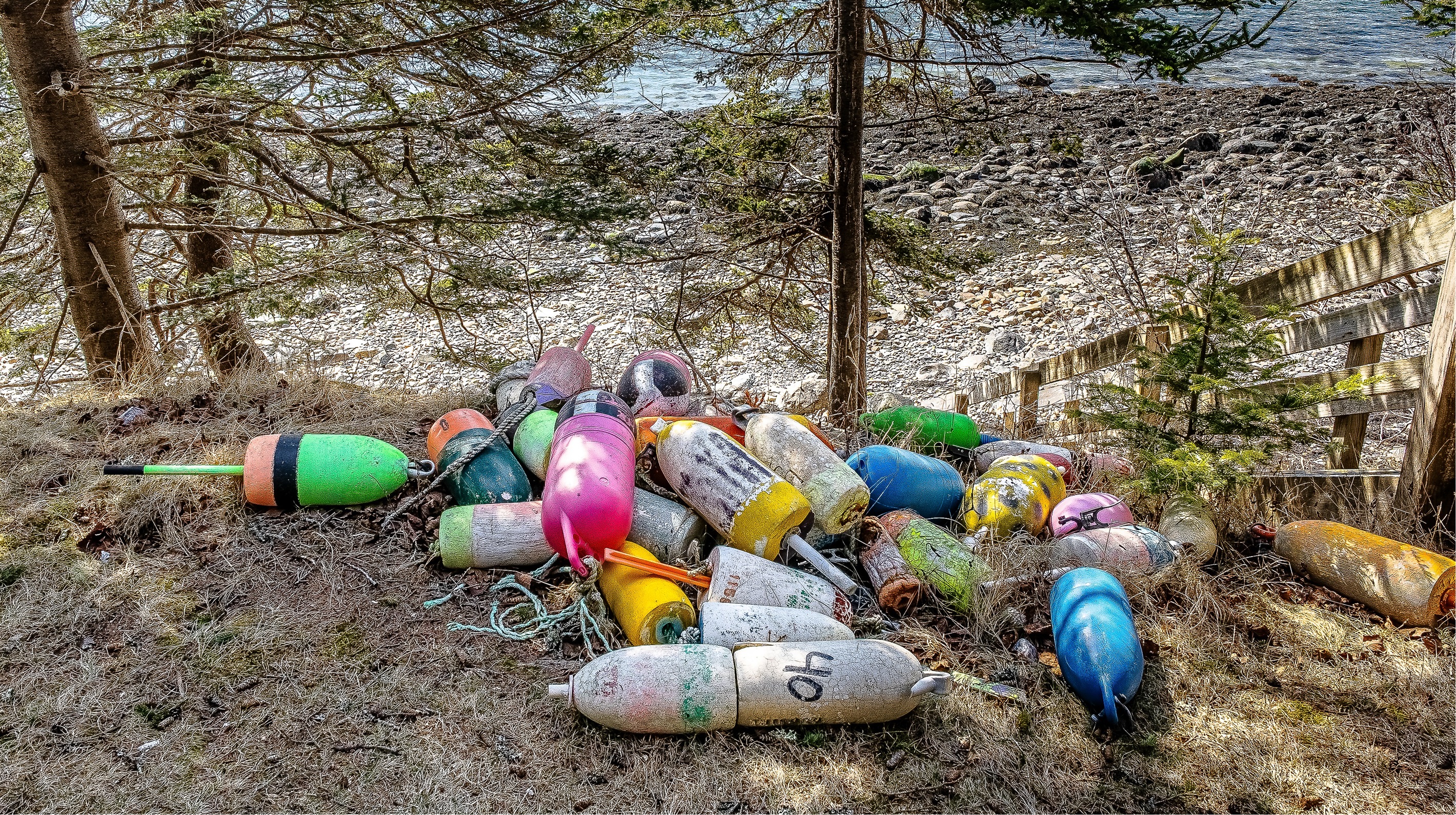 "A Working Harbor Legacy."
A colorful collection of 'rescued' buoys found along our private shoreline—a small tribute to the generations of lobstermen who have called Bass Harbor home.