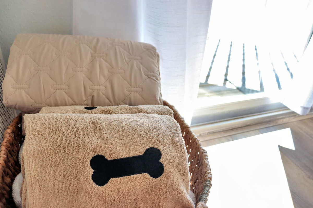 Your dogs are family &mdash; and they're welcome here, no questions asked.