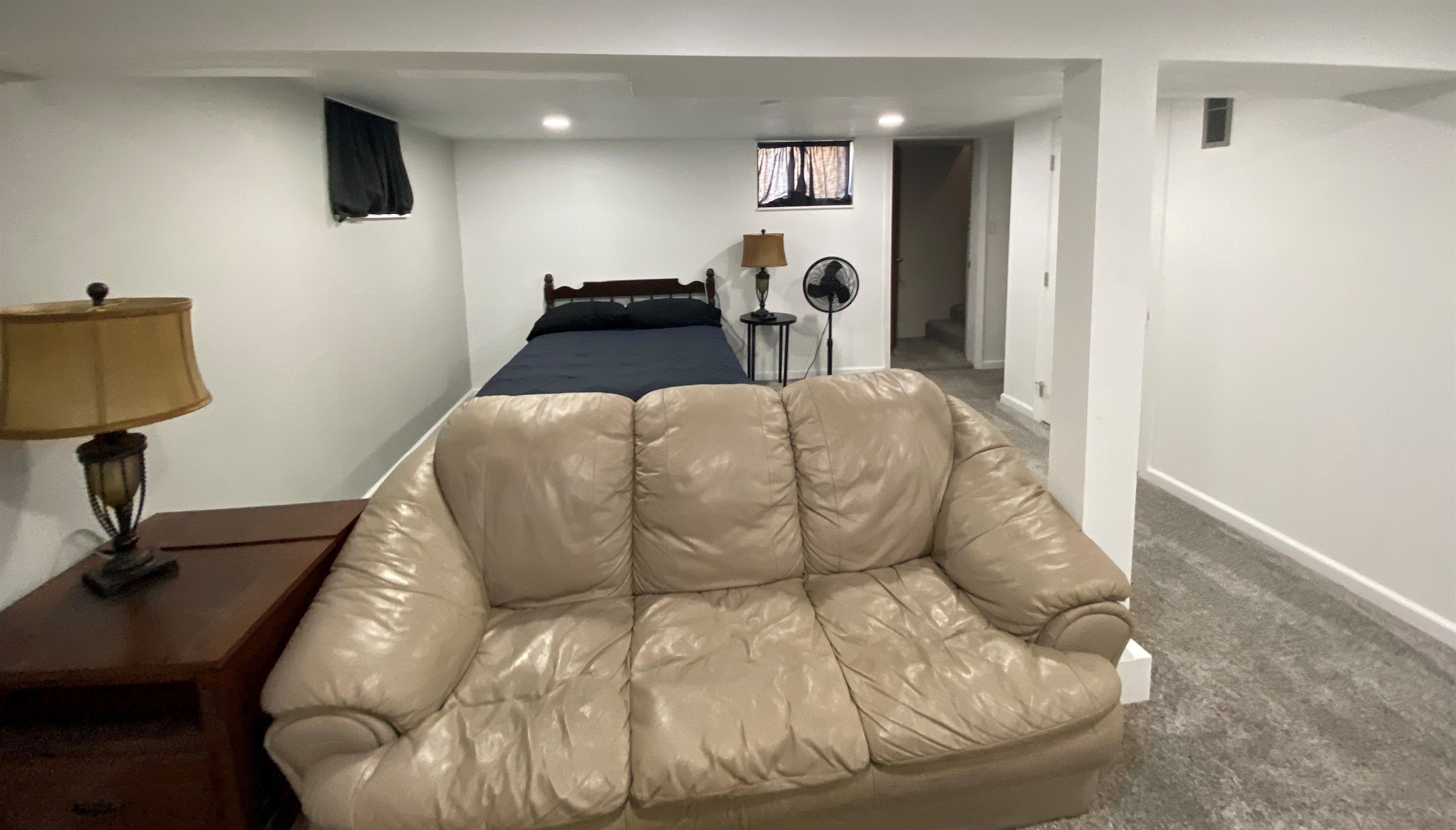 Basement TV Space and Bed