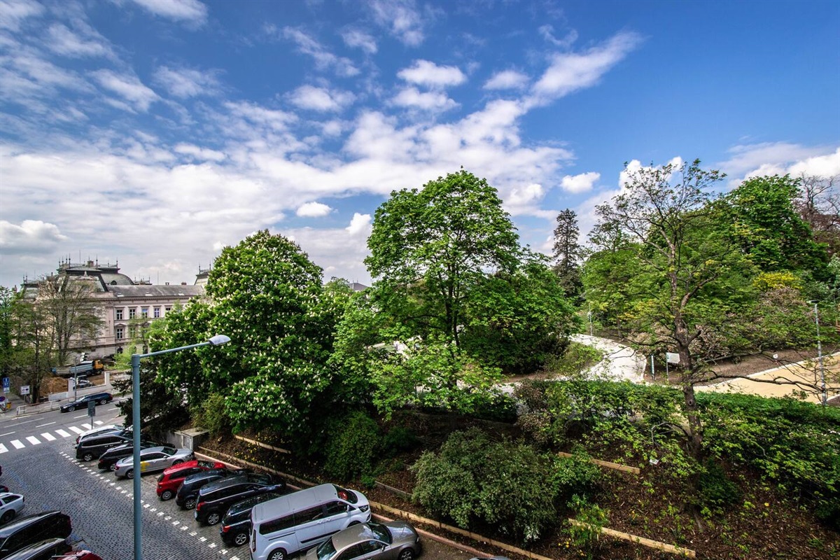 Beautiful and big park "Riegrovy Sady" view just from your balcony.