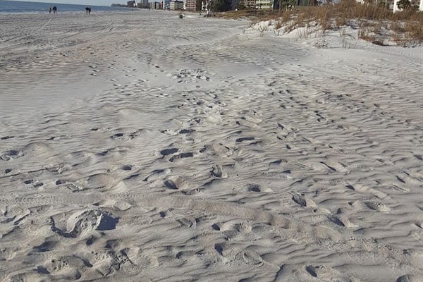 Madeira Beach view North