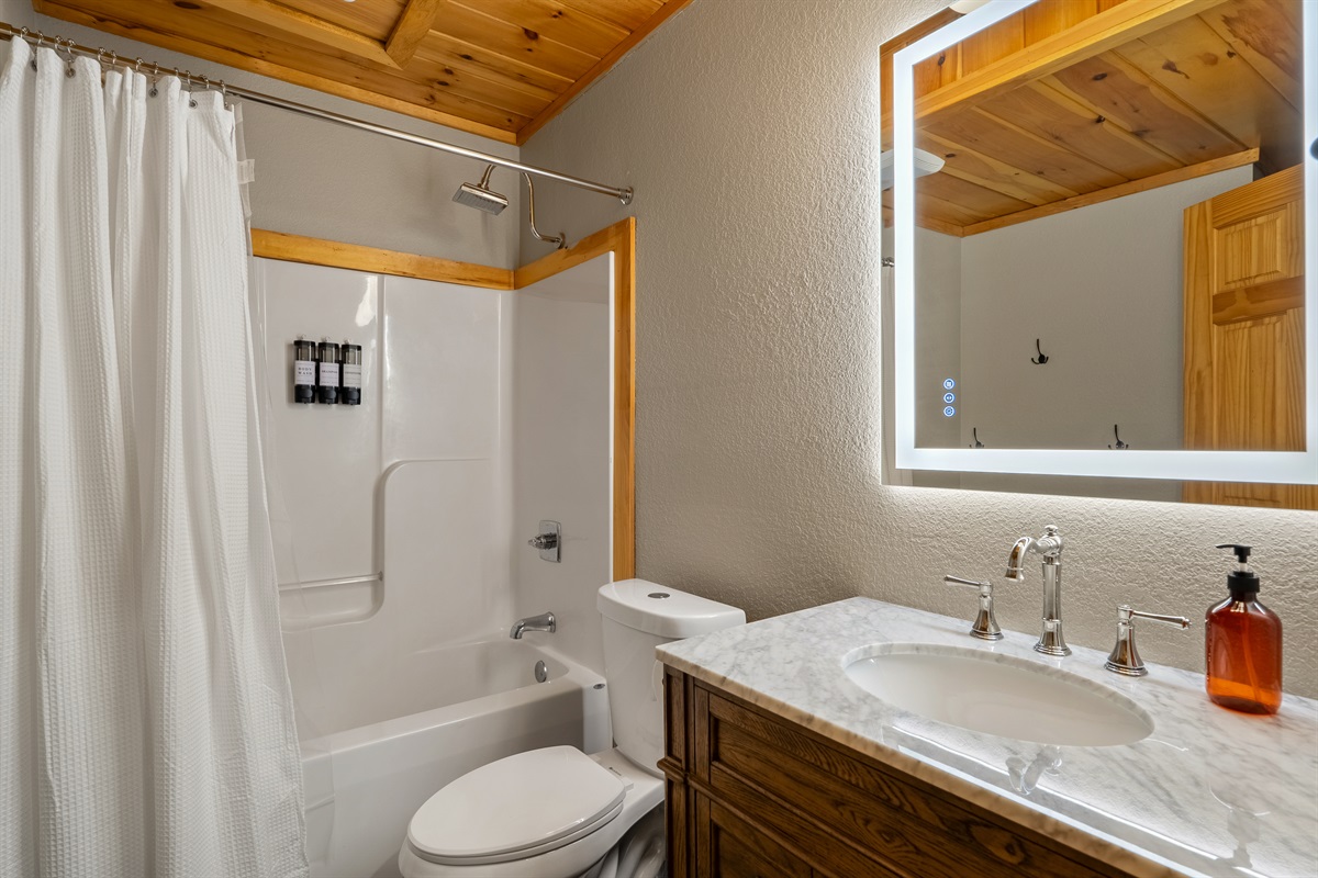 Lower Bunk Room Bathroom (Bedroom 7)