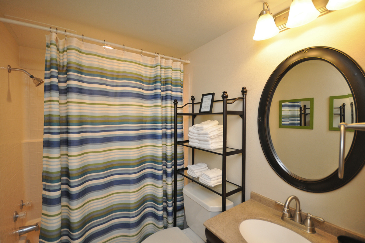 Guest bathroom