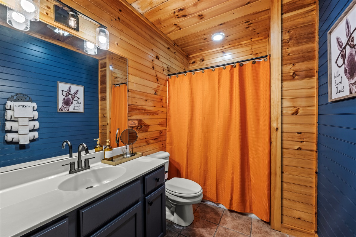 Lower level en-suite King Bedroom attached full bathroom (1 of 3)