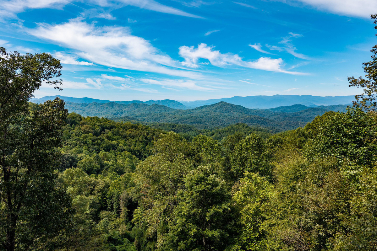Enjoy the majestic views from the deck!