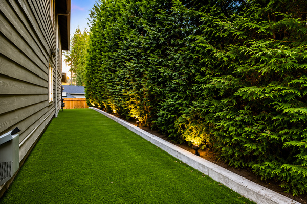 Side Yard