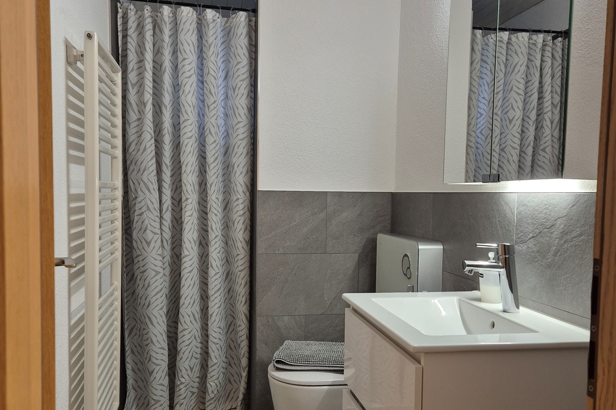 Bathroom with shower, wc, sink and mirror
