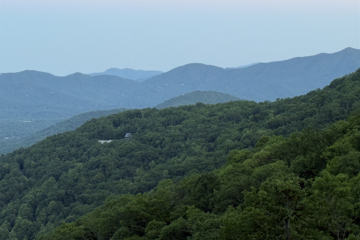 Zoomed in View