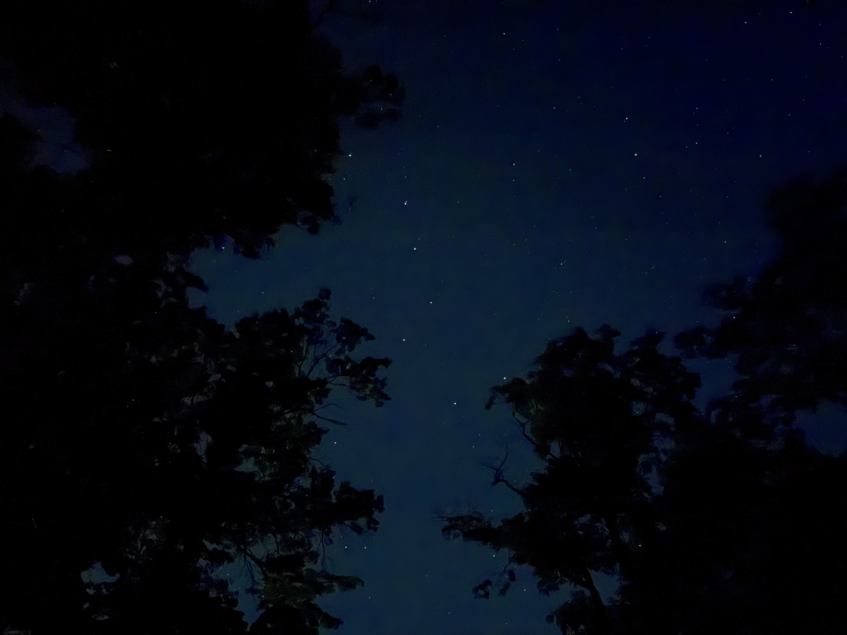 Stargazing is incredible here.  Check out the Big Dipper!