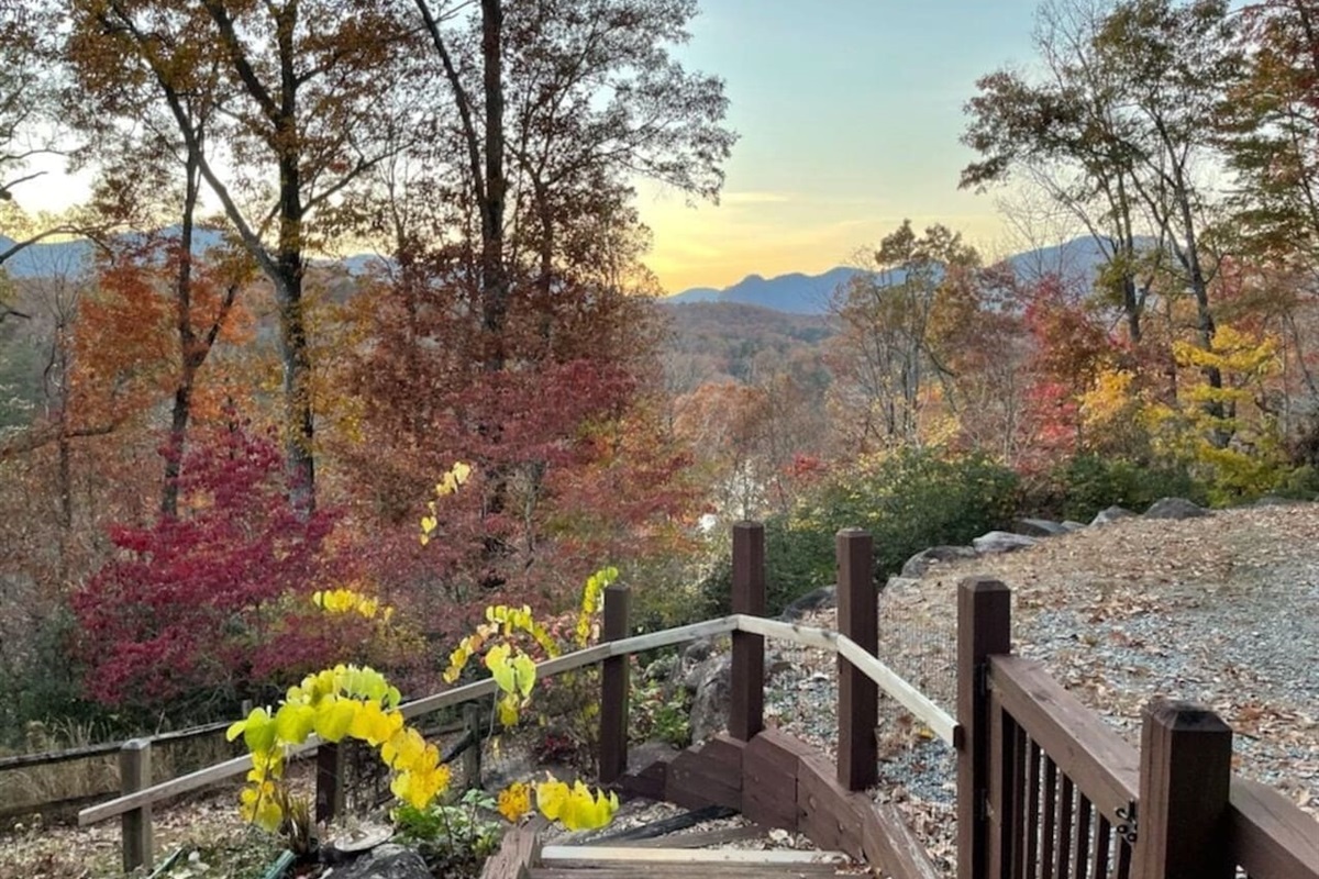 Views from cabin