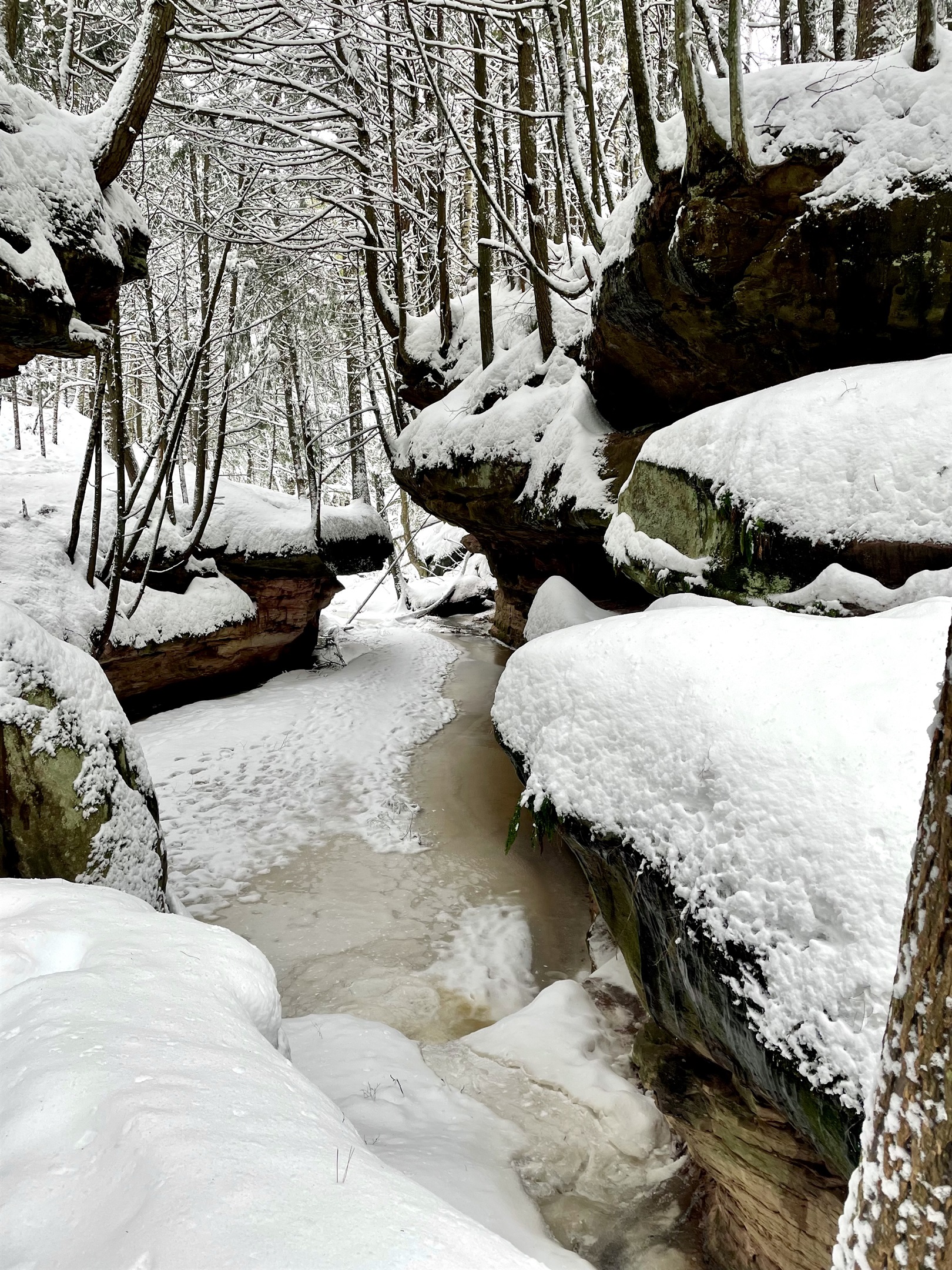 Houghton Falls Trail in Washburn, WI a 20 min drive from the cottage. A 30 minute hike with seasonal waterfalls, sandstone cliffs, and runs to the shoreline of Lake Superior with sea caves