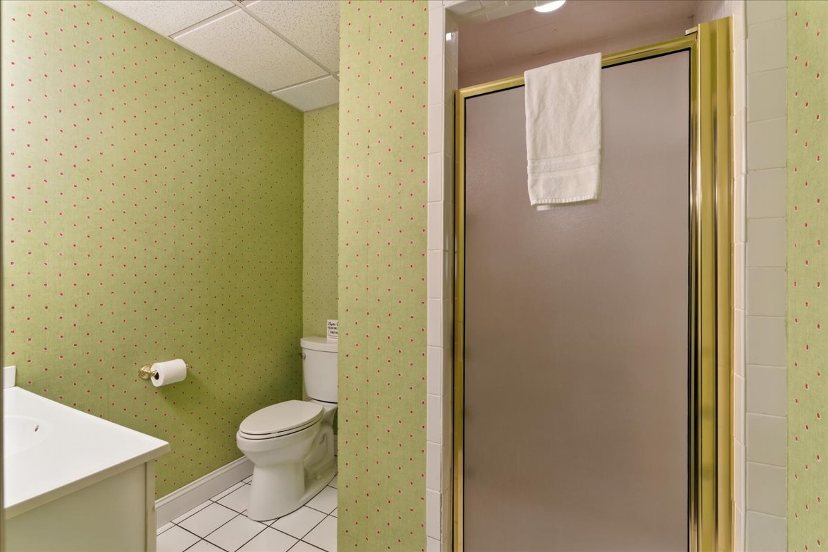 The basement bedroom’s connected bathroom includes a sink, toilet, and a walk-in shower.