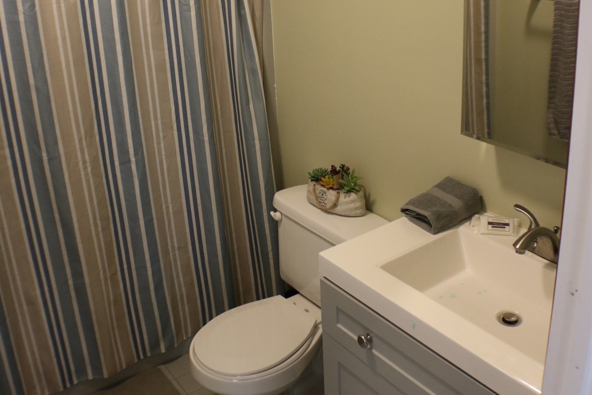 Fully remodeled 2nd Floor bathroom w/mirror-in-mirror vanity!