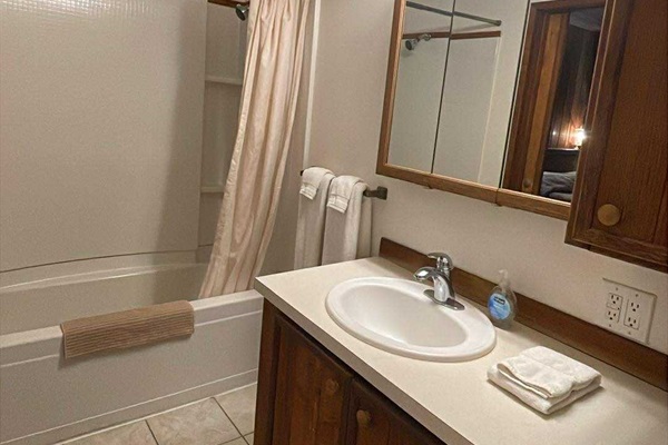 Rainier Cabin bathroom (pic 2 of 2)