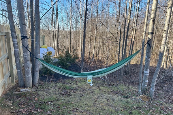 Enjoy Peaceful Serenity in the Hammock!