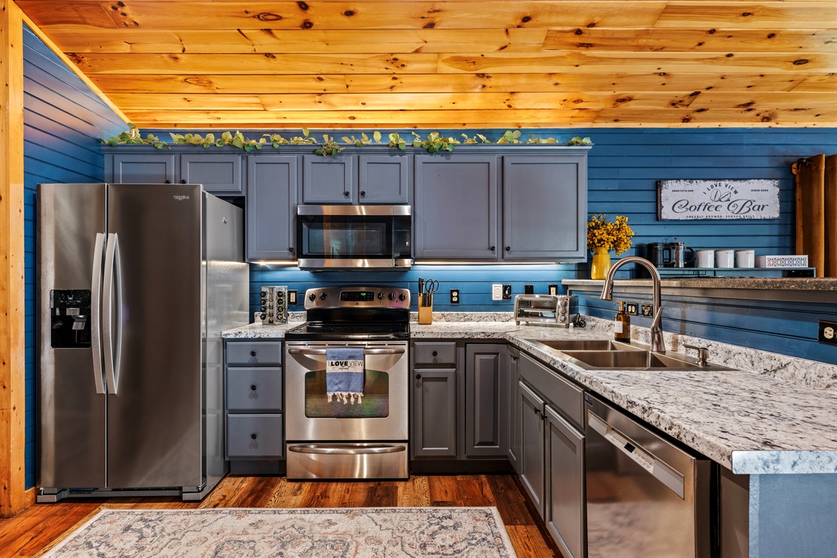 Updated appliances including fridge, microwave, electric stove/oven, and dishwaser