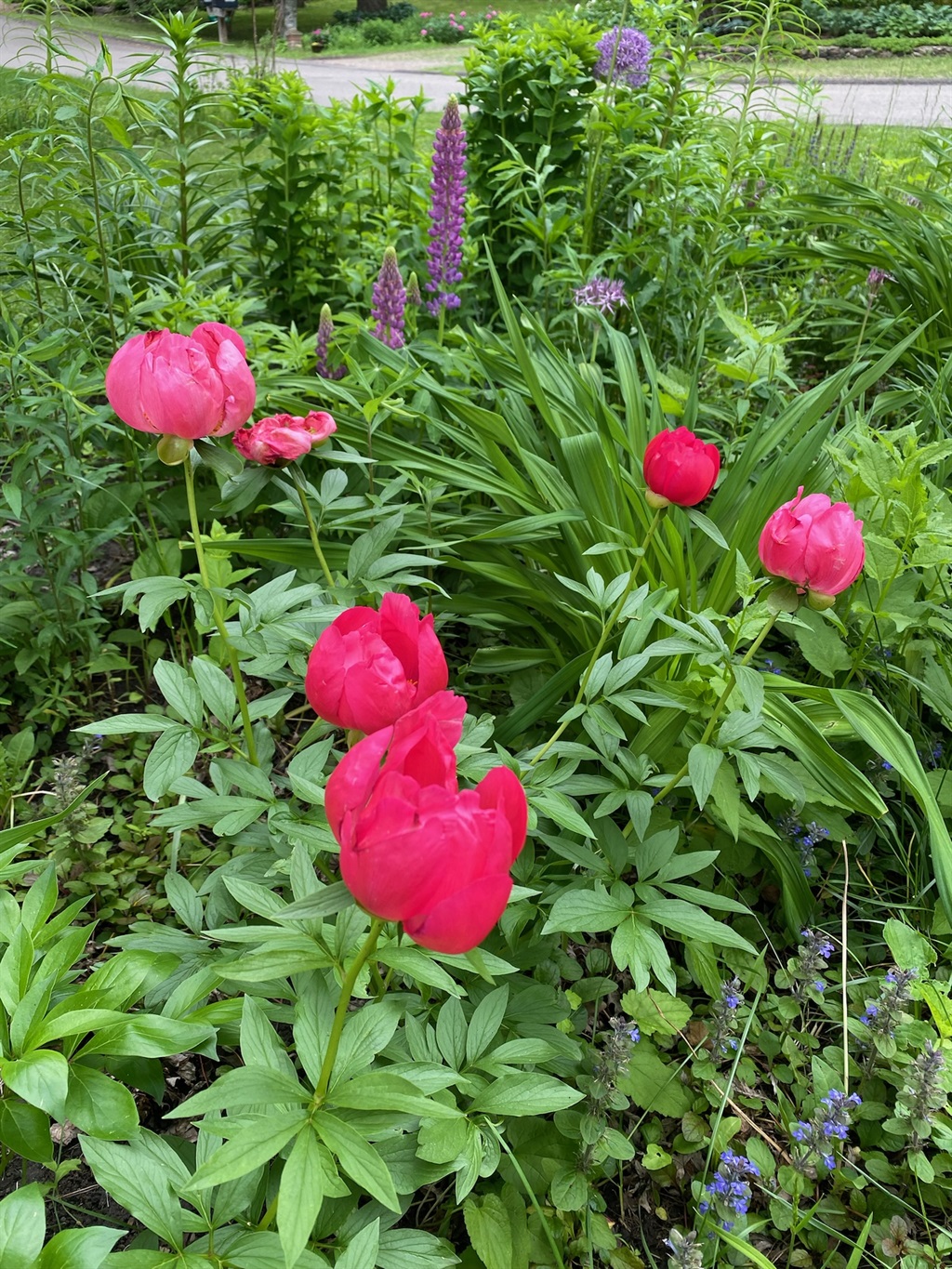 Spring is in the air!