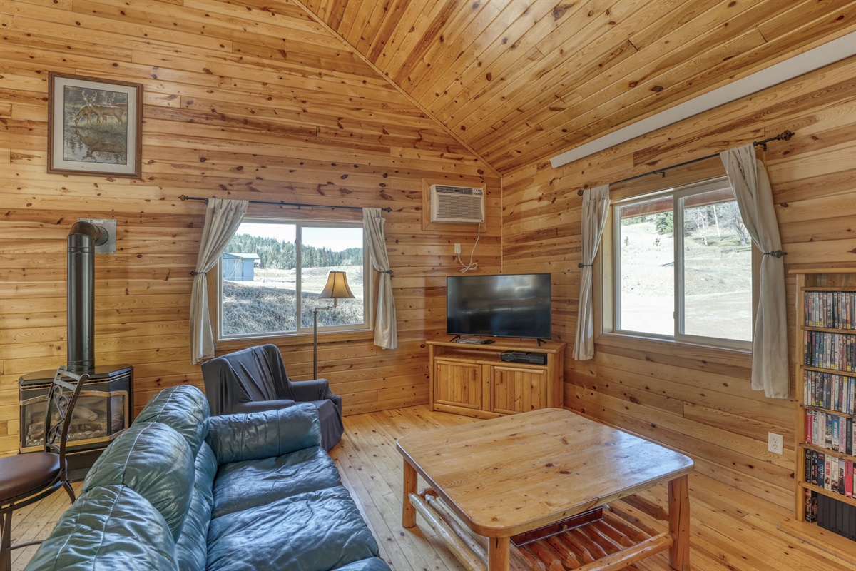 Living area with TV and sofas