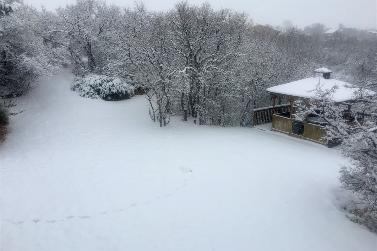 Fresh snow!