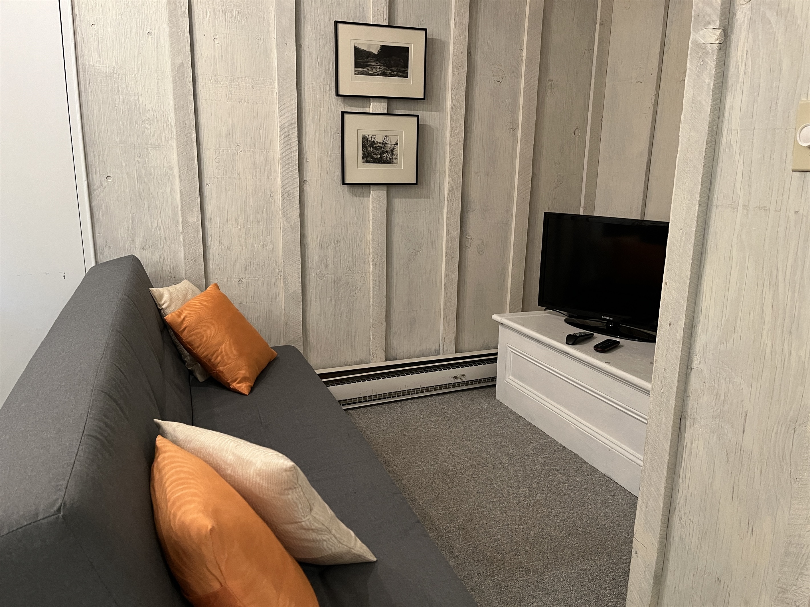 Lower level game room with TV