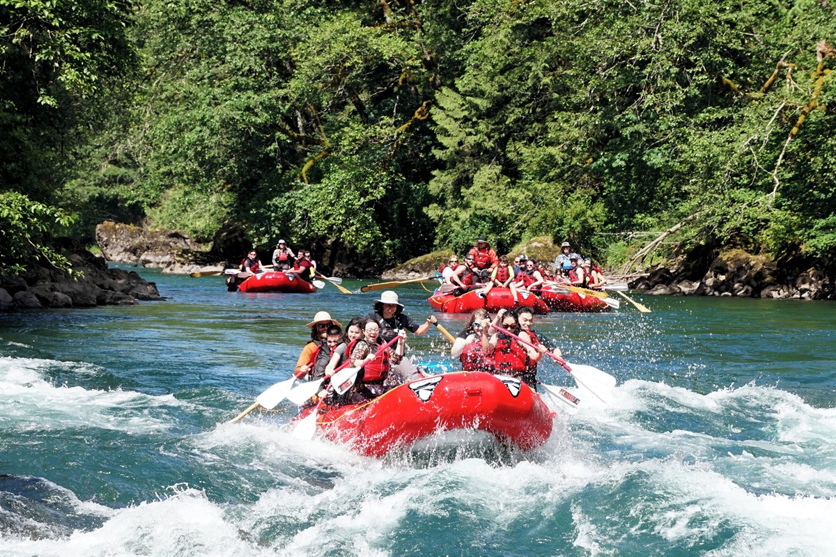May-Sept 20 min away! Learn rafting on the Upper Skagit. triadrivertours dot com
