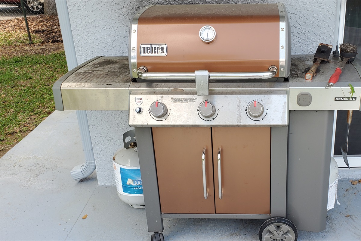 Owner propane BBQ grill