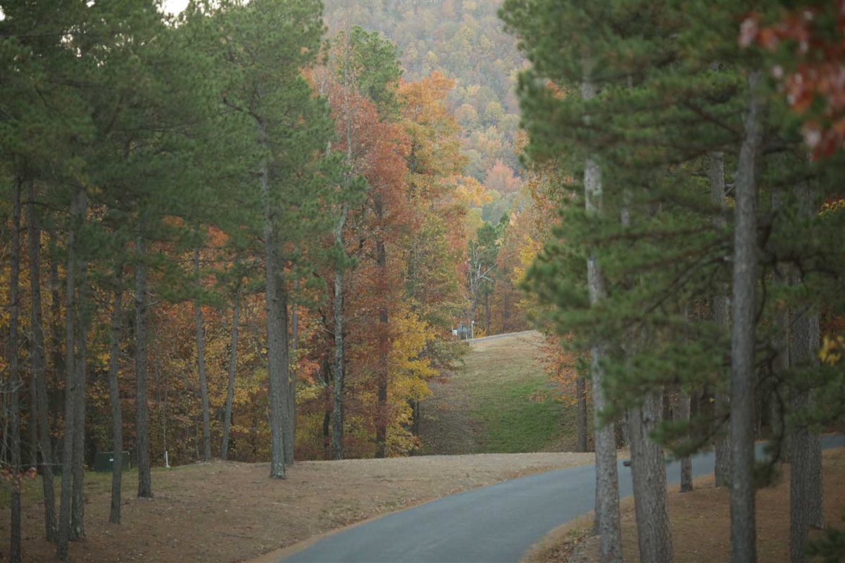 National Park-Like Setting