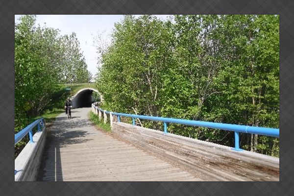 Tony Knowles Coastal Trail