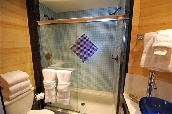 Main level spa-like full bathroom with twin shower heads and fluffy towels!