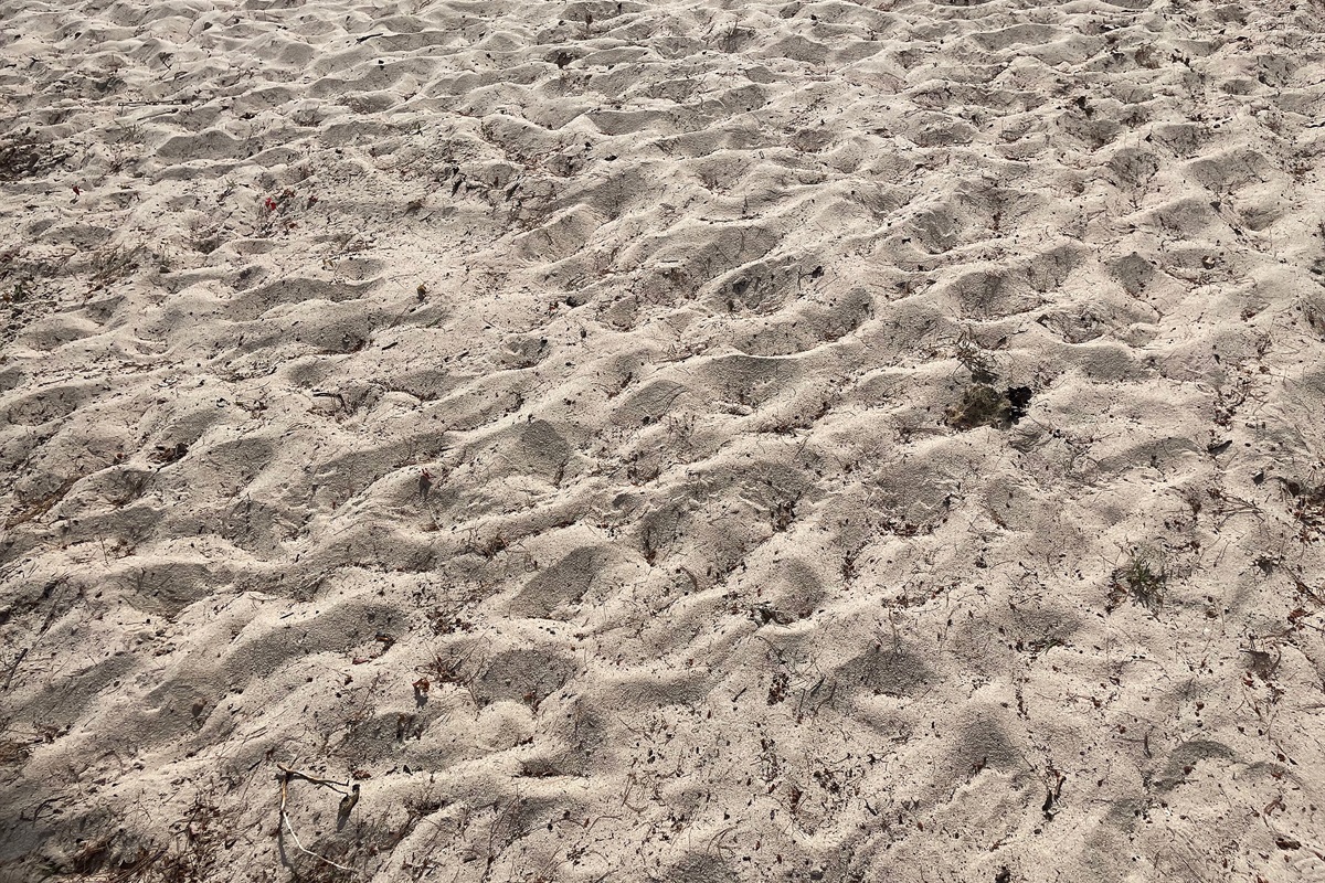 The beautiful sand beach is perfect for our littlest guests