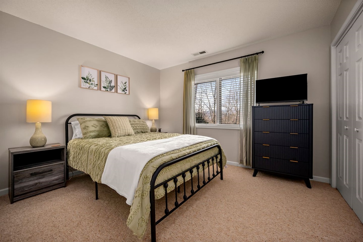Bedroom #3 on lower level of the home