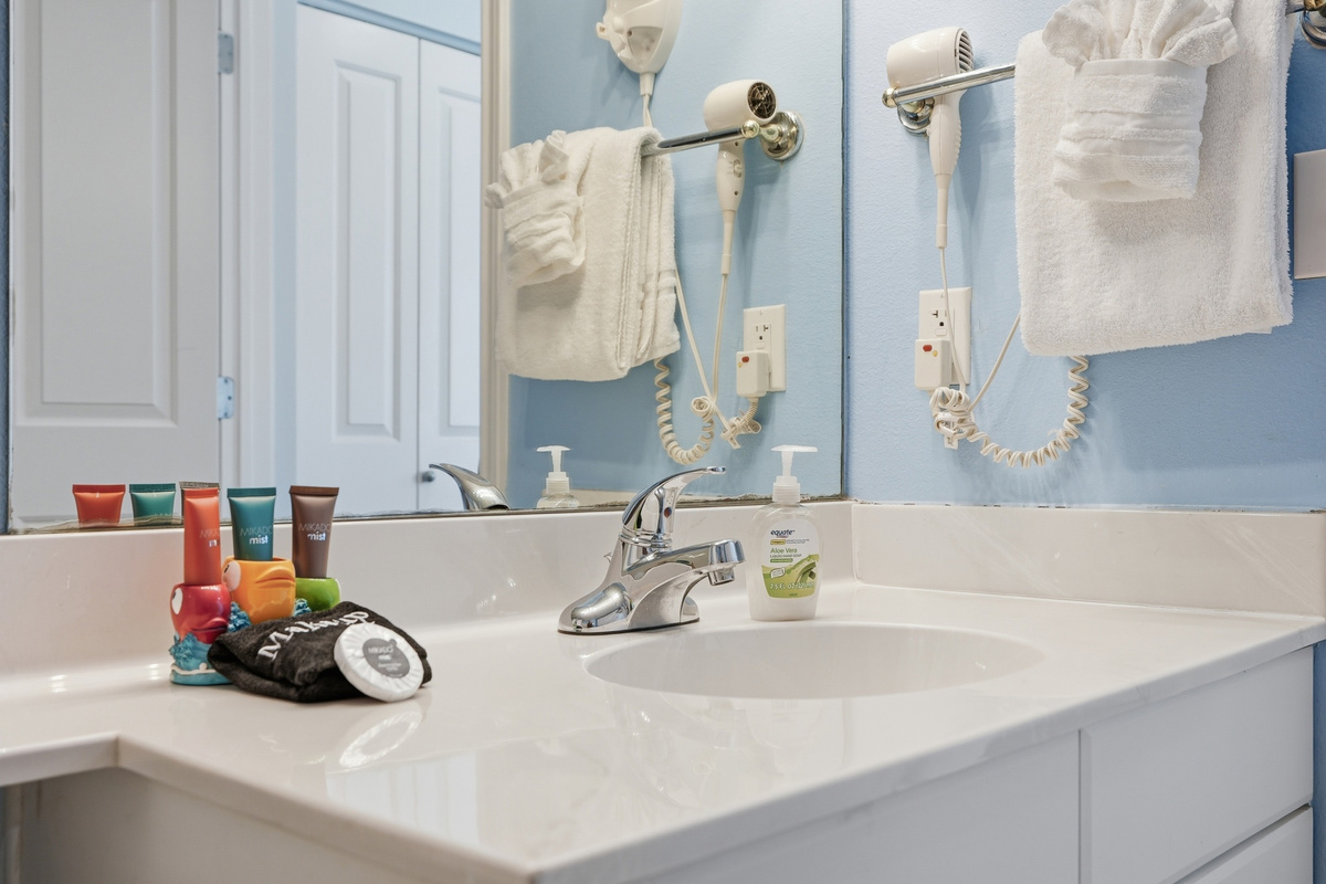 Guest Bath 2