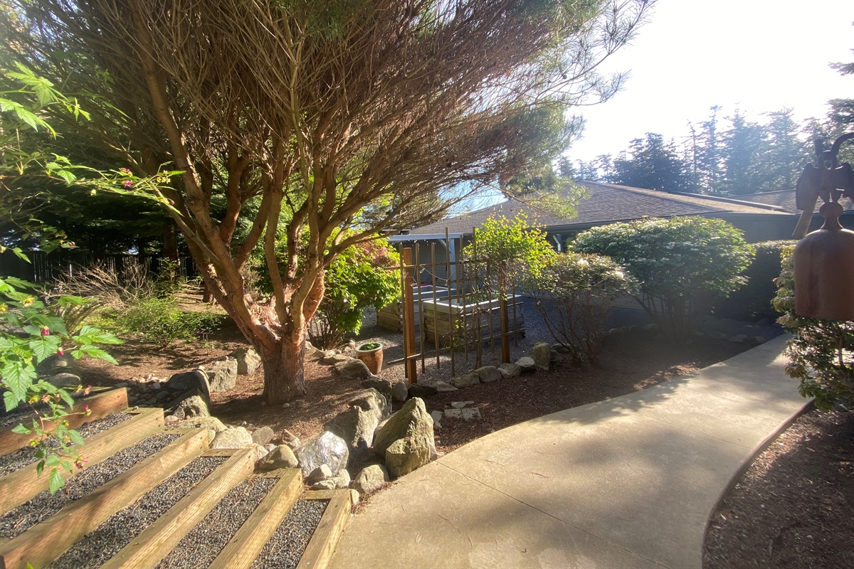 Coming in the gate, you instantly get a feeling of relaxation in the beautiful courtyard.