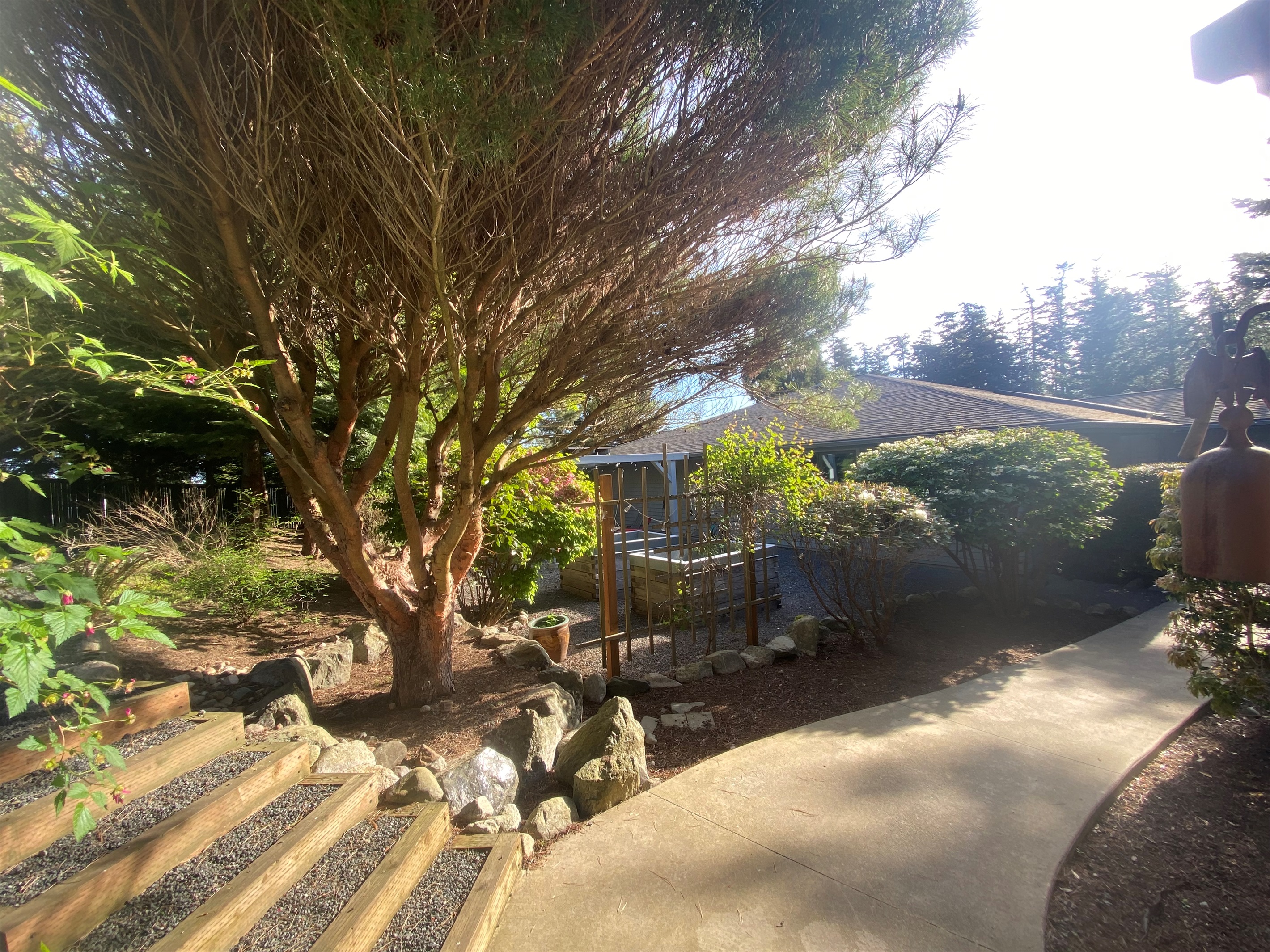 Coming in the gate, you instantly get a feeling of relaxation in the beautiful courtyard.