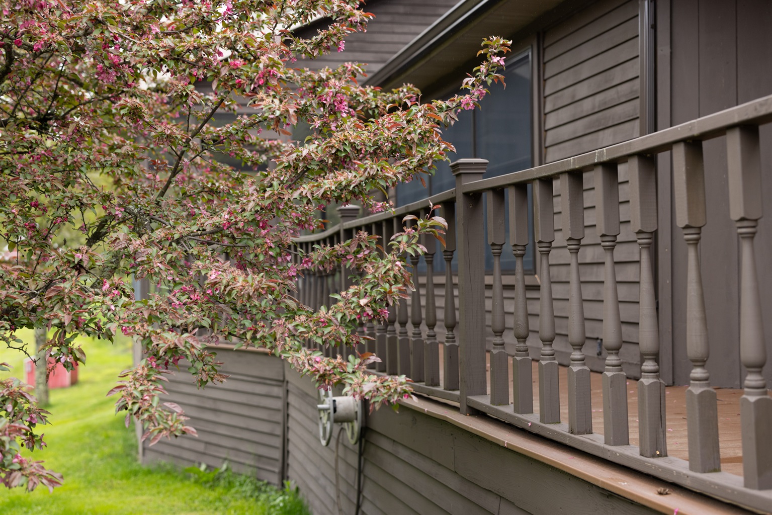 Lots of space for outdoor seating - screened porch, covered back porch, front porch