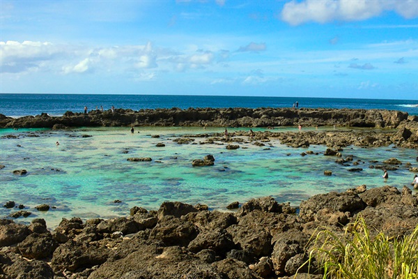 Premier snorkeling just a couple of minutes away!