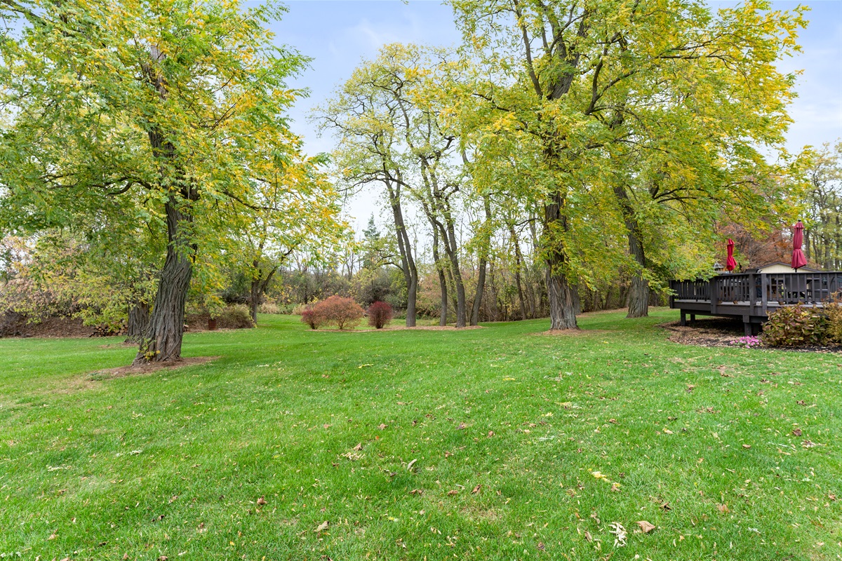 Peaceful backyard surrounded by mature trees — the perfect setting for family fun or quiet reflection