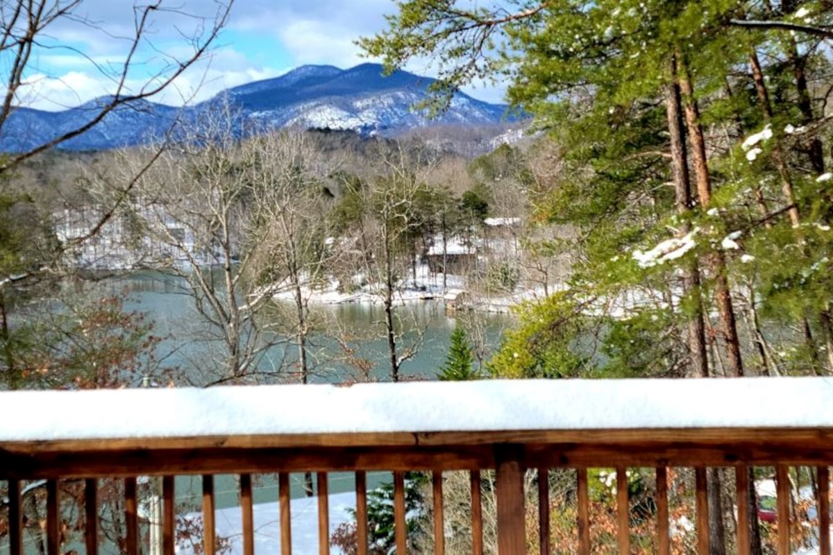 Deck view on a snow day!