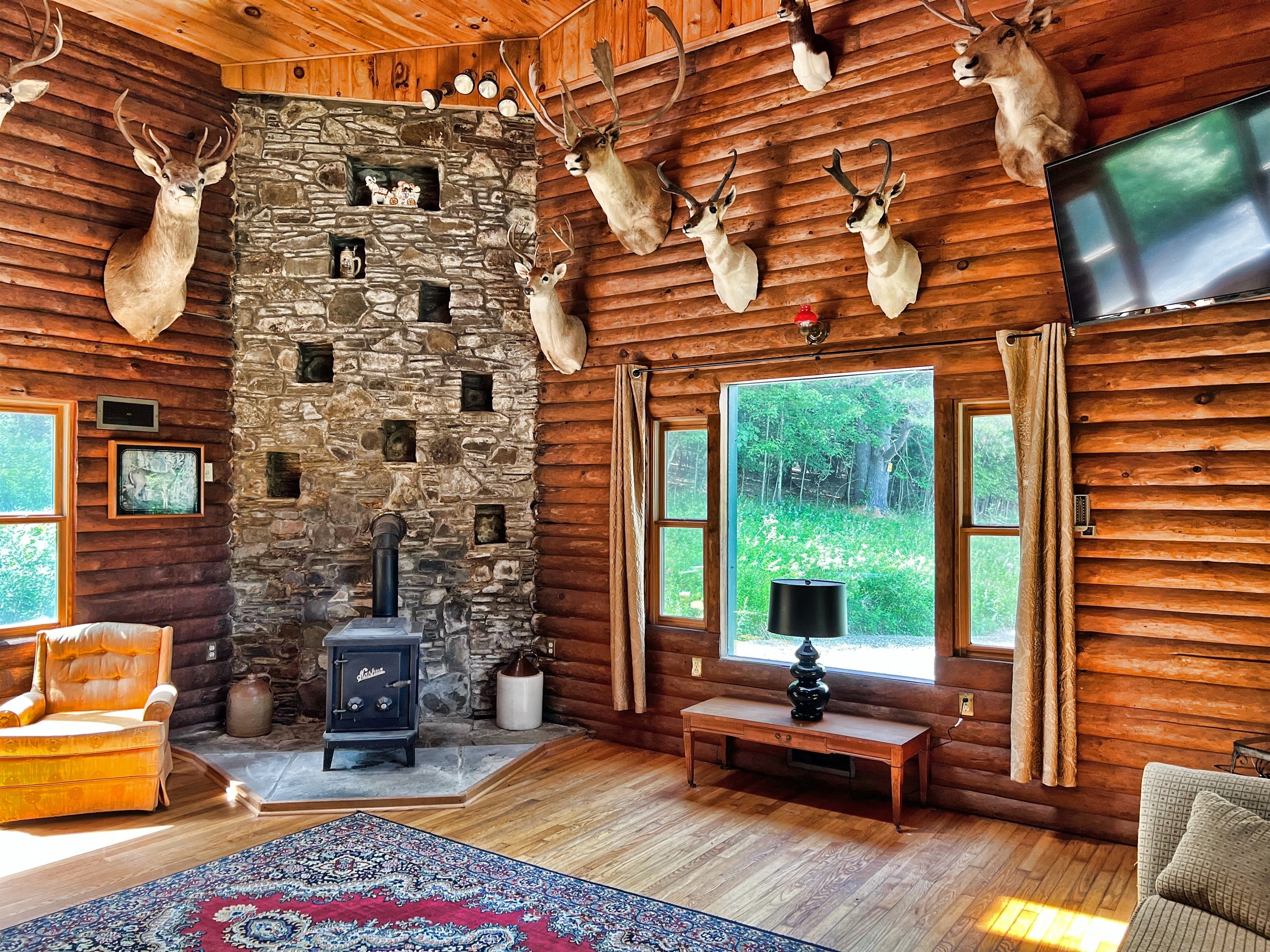 Feel one with nature in the amazing trophy Room!